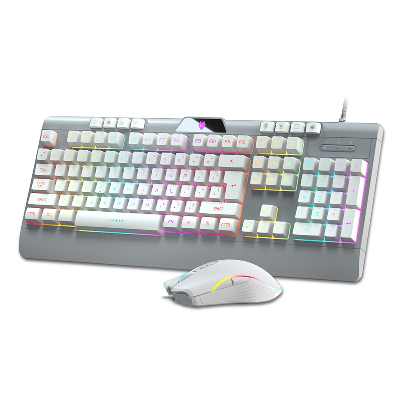 EAOR RGB Wired Gaming Keyboard and Mouse Set 104-key Mechanical Feel Gaming Keyboard Mouse Combos for Laptop Desktop PC Gamer