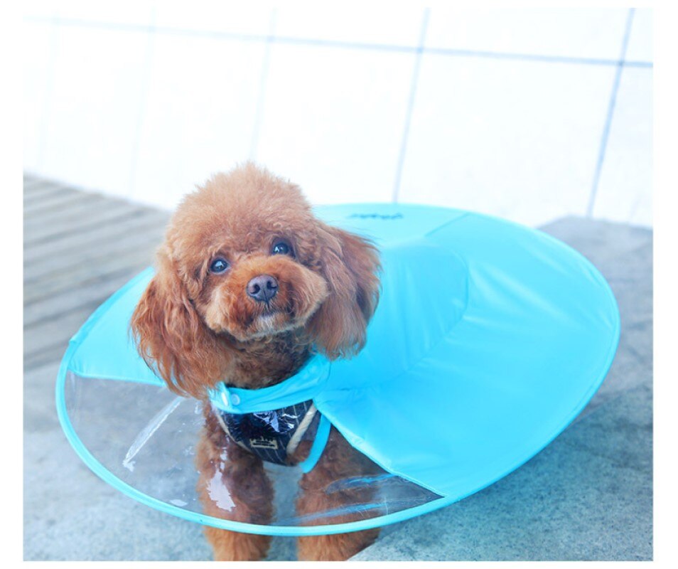 Neue Haustier Hund transparent Regenmantel UFO Hund Regenmantel Haustier Regenmantel Hund Kleidung