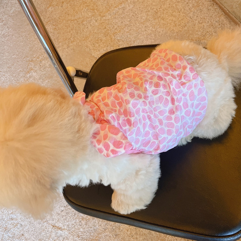 Dog Skirt Vest for Small Medium Dogs Cute Dot Dog Dress Maltese Girl Skirts Pomeranian Clothes Summer Pet Dog Apparel