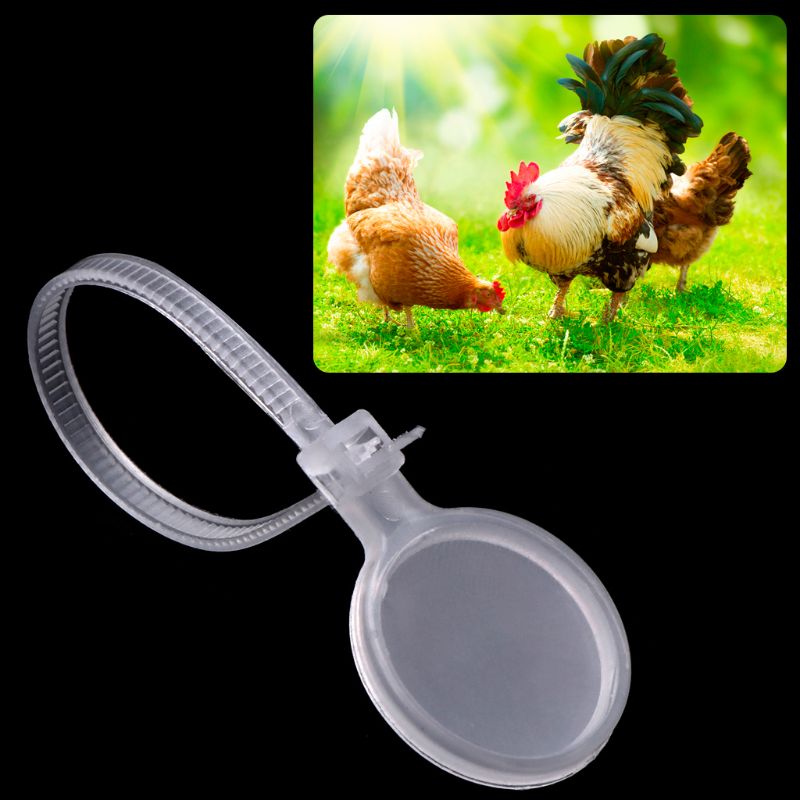 Juego de anillos para tobillera de aves de corral, marcador de de identificación, de plástico, pato, pollo, gallina, Ganso, cangrejo, equipo de 20 unidades