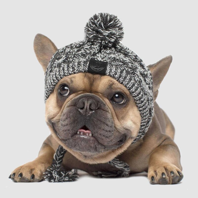 Herfst En Winter Bont Bal Warm En Winddicht Gebreide Hond Hoed Voor Franse Bulldog Chihuahua Warme Hond Bladerdeeg Bal Gebreide huisdier Headge