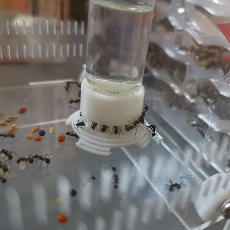 Ant Farm Water Feeding Area Water Bowl for Ant Anthill Ant Nest Large Capacity Water Feeder Ant House Drinking Bottle Workshop