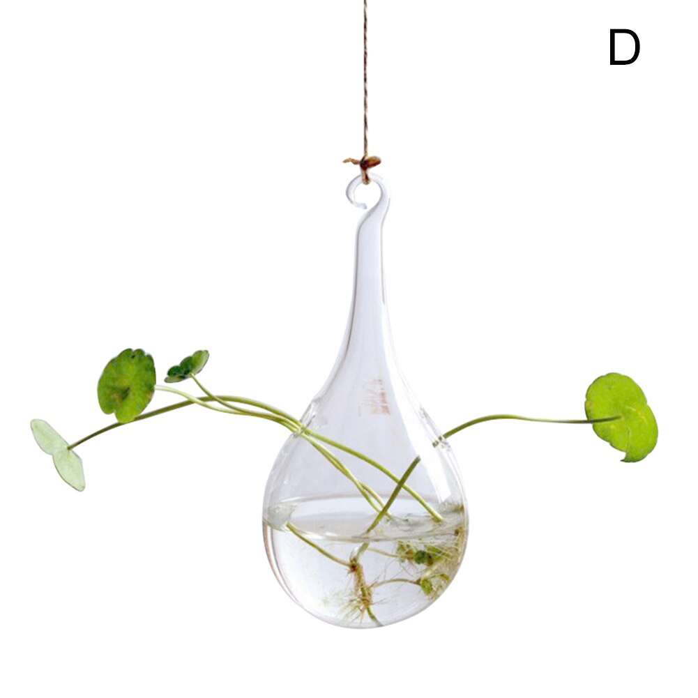 Hanging Transparent Glass Vases Flower Hydroponic Plants Office Home Decoration Terrarium DEC889: D