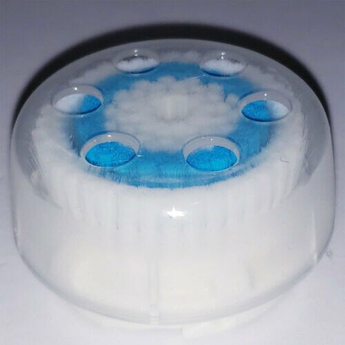 Tête de brosse de rechange US 2 pores profonds Clarisonic mia