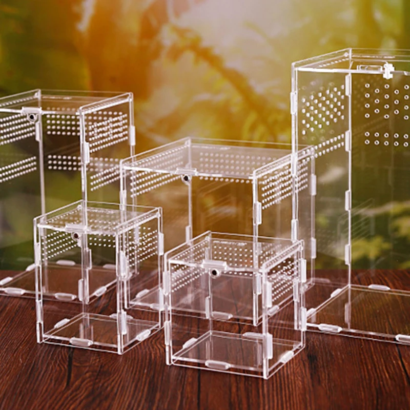 Acrílico transparente réptil terrário caixa de reprodução gaiola tartaruga nano arboreal tarântula gabinete querido dragão répteis habitat