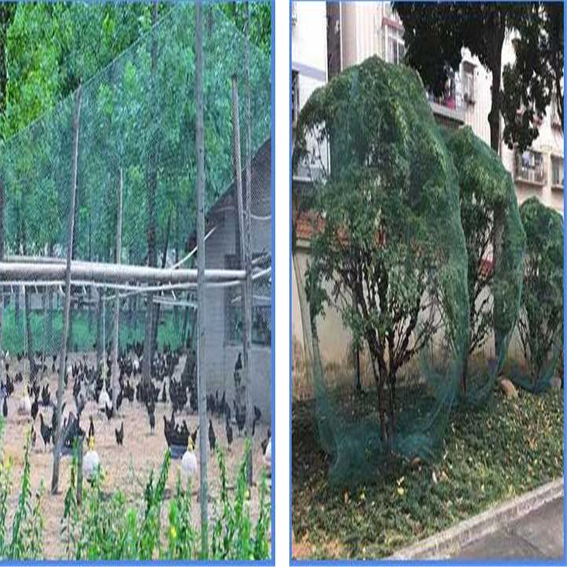 5m Green Garden fence mesh Plant vines climbing net A fence mesh