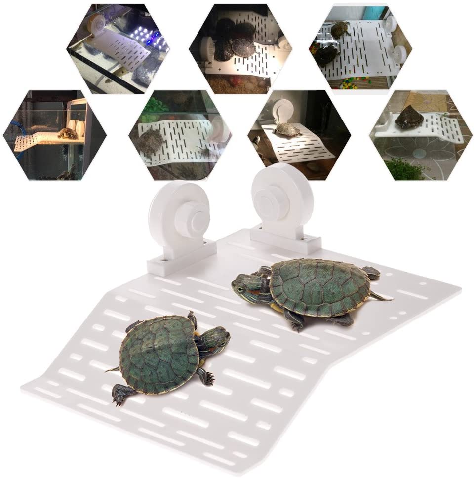 Small Turtle Basking Platform Reptile Ladder Rest Platform Fish Tank Museum Turtle Dock Small Reptile Floating Decoration