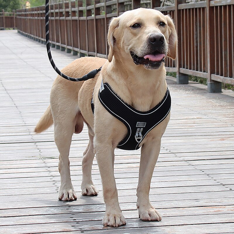 Large Dogs Harness Vest Breathable No Pull Dog Training Harness Adjustable Reflective Pet Harnesses For Pitbull Labrador Collars: Black / XXXL