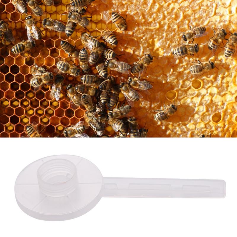 1 pieza de alimentador de abejas de plástico Circular fuentes de bebederos abejas alimentador para alimentar agua Herramientas de apicultura herramienta apícola