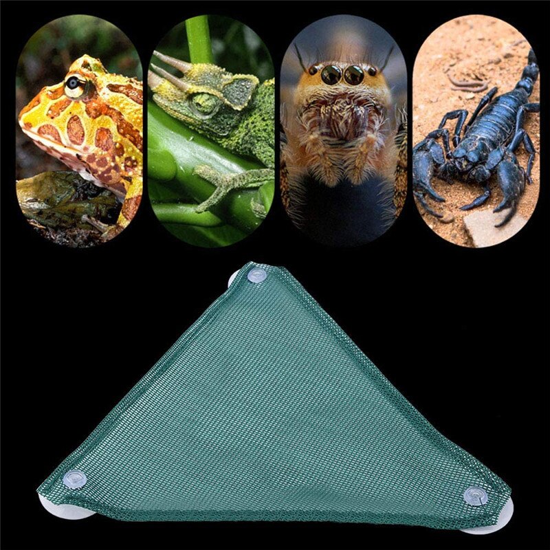 Rettile amaca traspirante Mesh triangolare Habitat lettino ponte Decor per prodotti di arrampicata lucertola drago barbuto