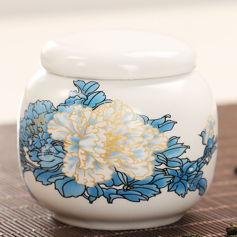Blauwe En Witte Thee Caddy Keramische Thee Container Kleine Celadon Wit Porselein Verzegelde Thee Opslag Pu'er Draagbare Kung Fu Thee set: 02