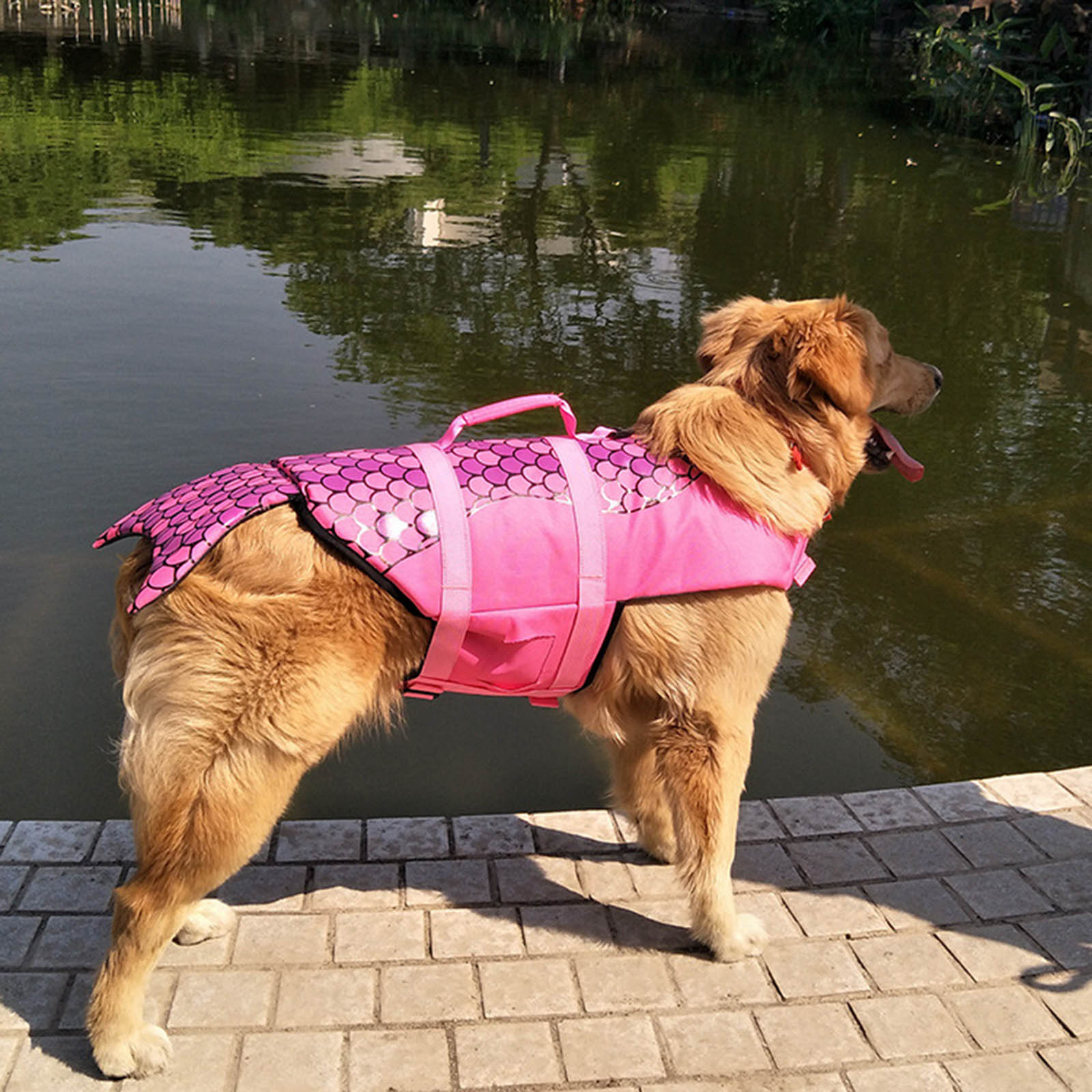Pet Life Jackets Pet Floatation Vest Dog Swimming Saver Vest Life Preserver for Water Safety at The Pool Beach Boating W