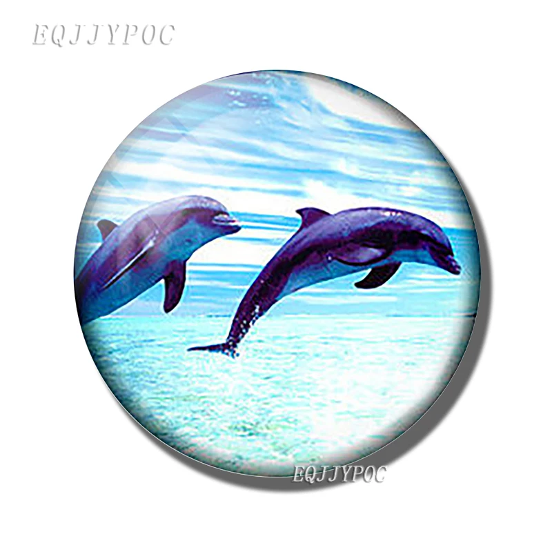 Mergulho 30mm geladeira ímã oceano subaquático criatura foto de vidro cabochão geladeira magnética adesivos nota decoração da sua casa: MULTI