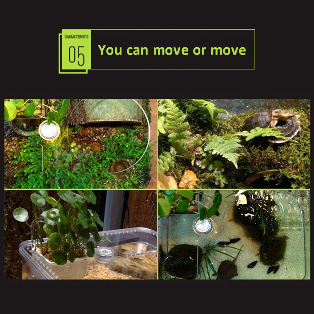 Turtle And Fish Landscaping Aquarium Turtle Tank Acrylic Feeding Box Water And Land Durable Plastic Amphibious Tortoise Pot