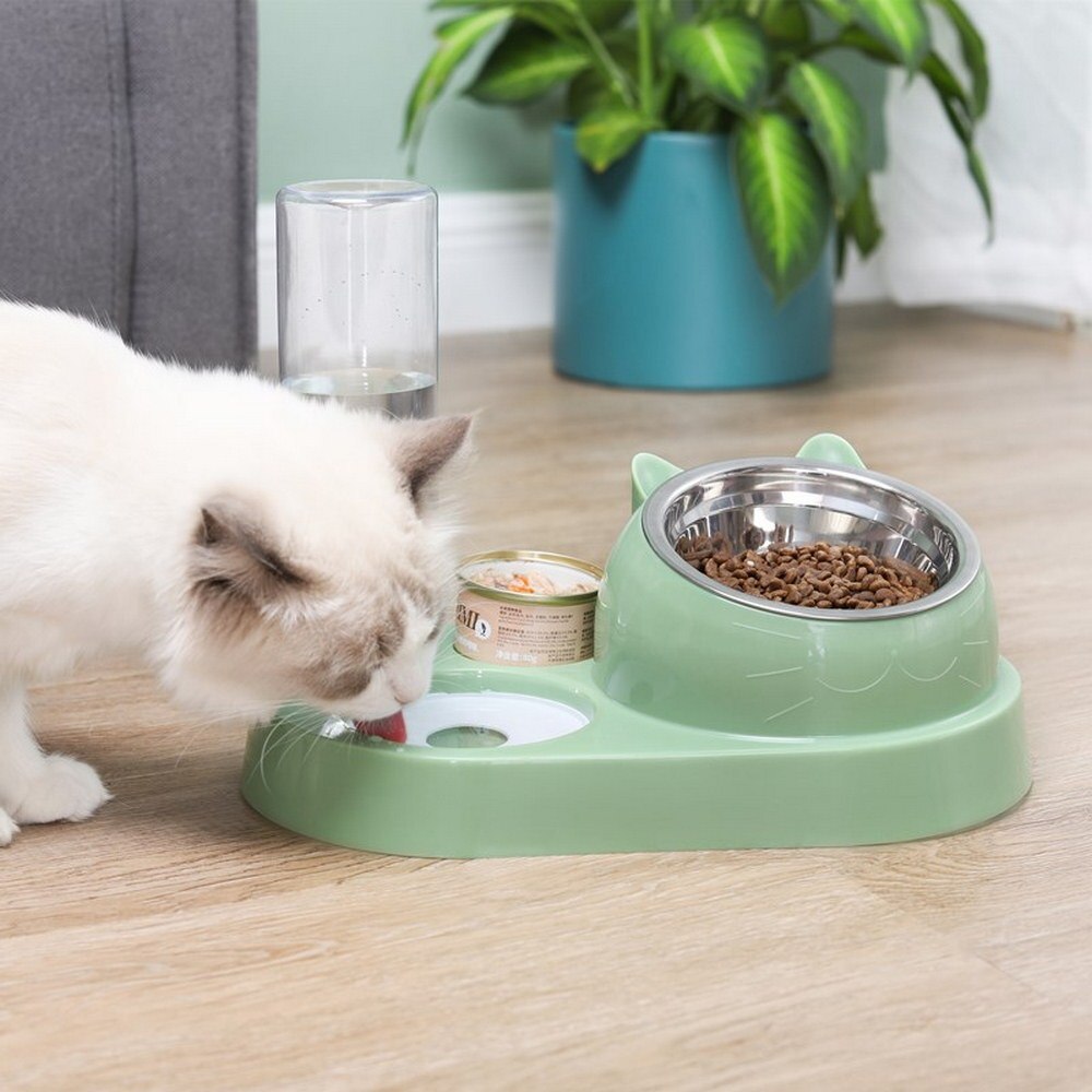 Cat Dog Bowl 15 Degrees Tilt Raised Pet Food Bowls 500ML Water Bottle Protect Pet's Spine, Drink and Food Bowls for Cat