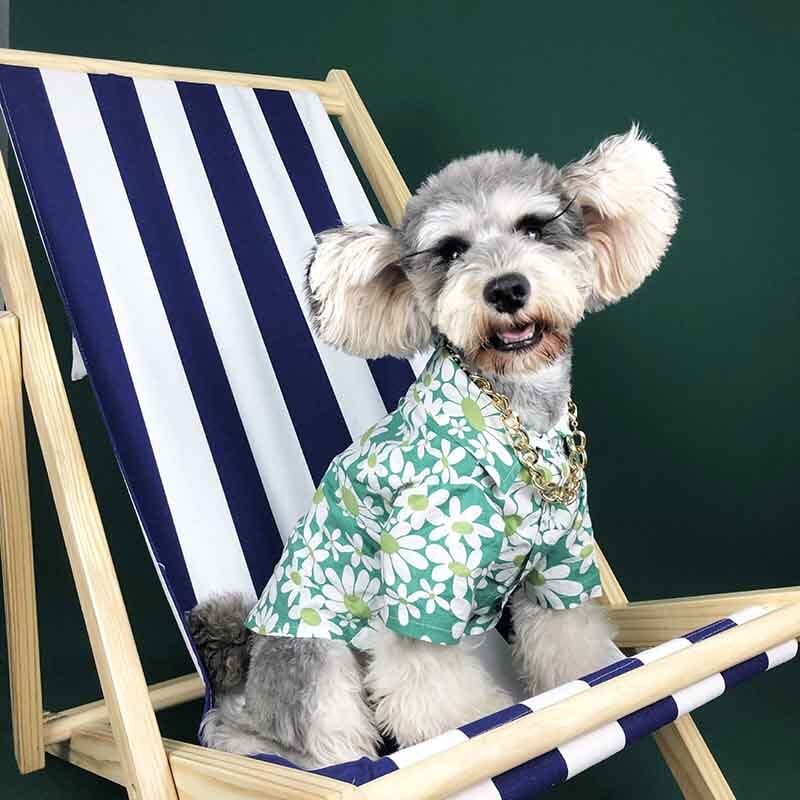 Hundetøj sommer tyndt snit net rød med samme afsnit krysantemum skjorte fransk bulldog bamse schnauzer corgi kæledyr ud