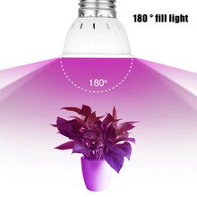 Flower Plant Light Greenhouse Full Spectrum Lamp Plants Growing Indoor