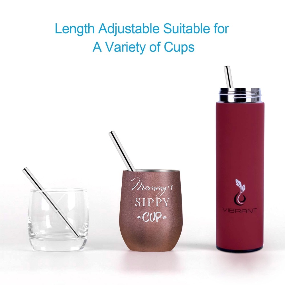 Reusable Stainless Steel Straws with Aluminum Keychain Case Cleaning Brush Collapsible Telescopic Portable Drinking Straws