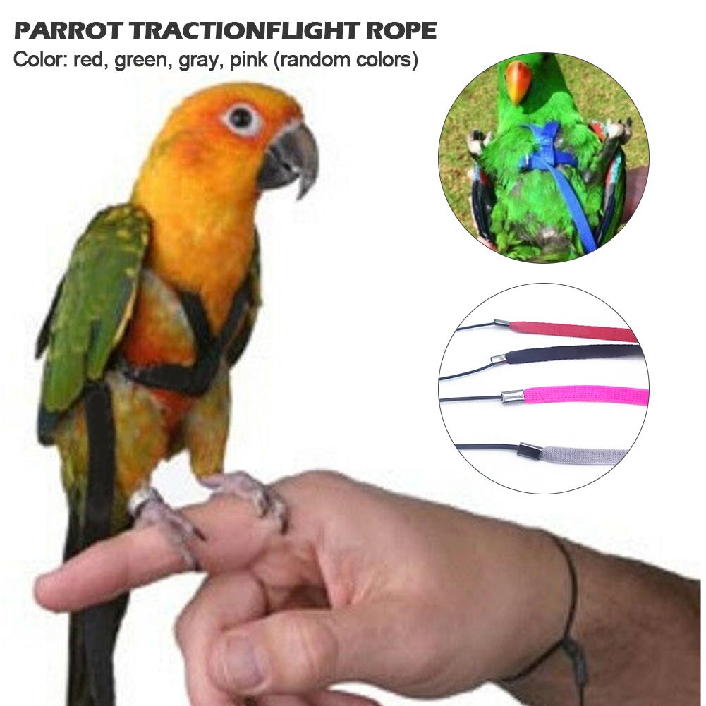 Papegøje sele og snor flyvende anti-bid trækkraft reb fugletræning udendørs bærer til skarlagenrøde ara papegøjer fugle