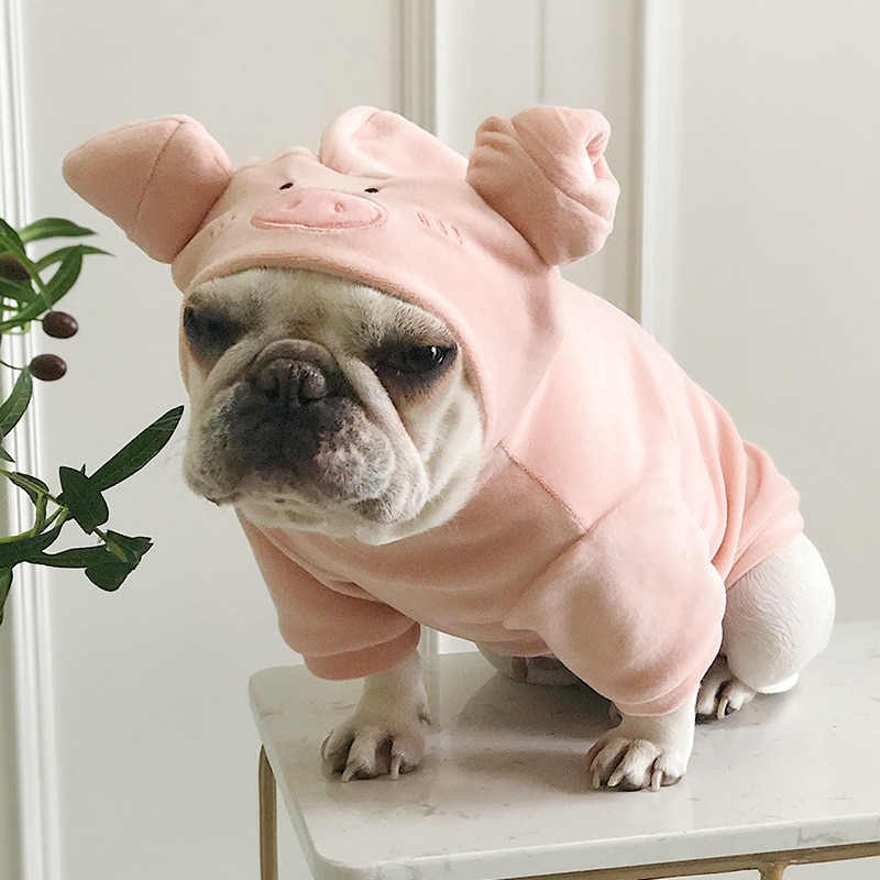 Sweat à capuche pour animal de compagnie, déguisement de bouledogue français, carlin, chien, cochon, amusant, , Halloween, noël, tenue Cosplay