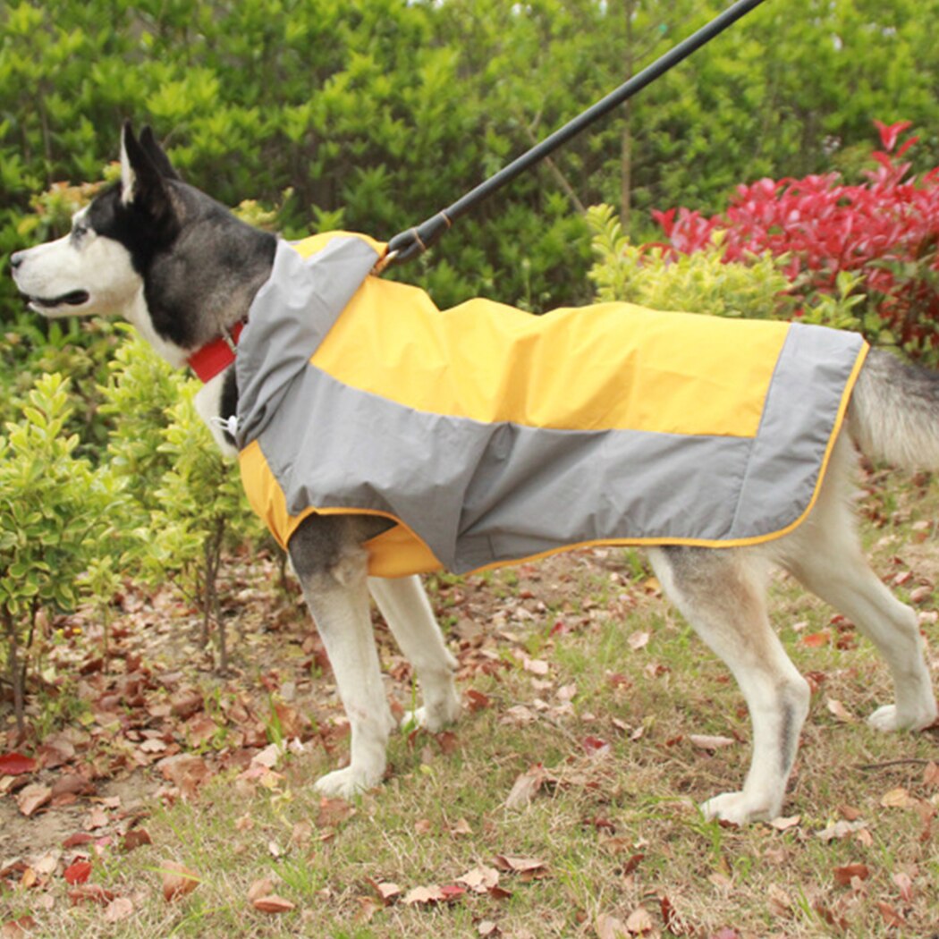 Koude Proof Double Layer Waterdichte Hond Regenjas Grandado