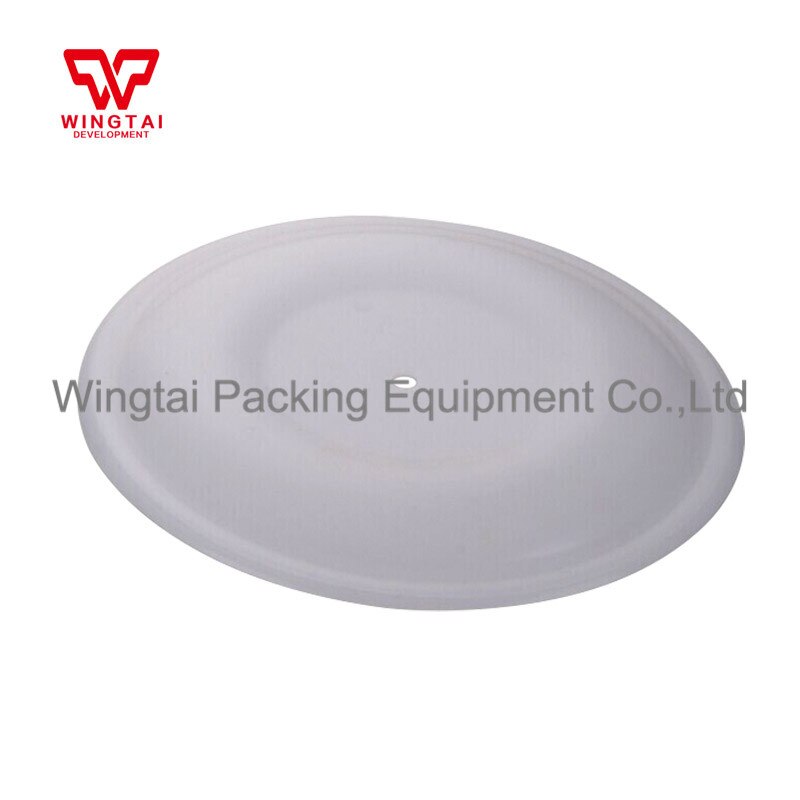 PTFE Diaphragms Replacement Parts for Sandpiper Air-Operated Double Diaphragm Pump