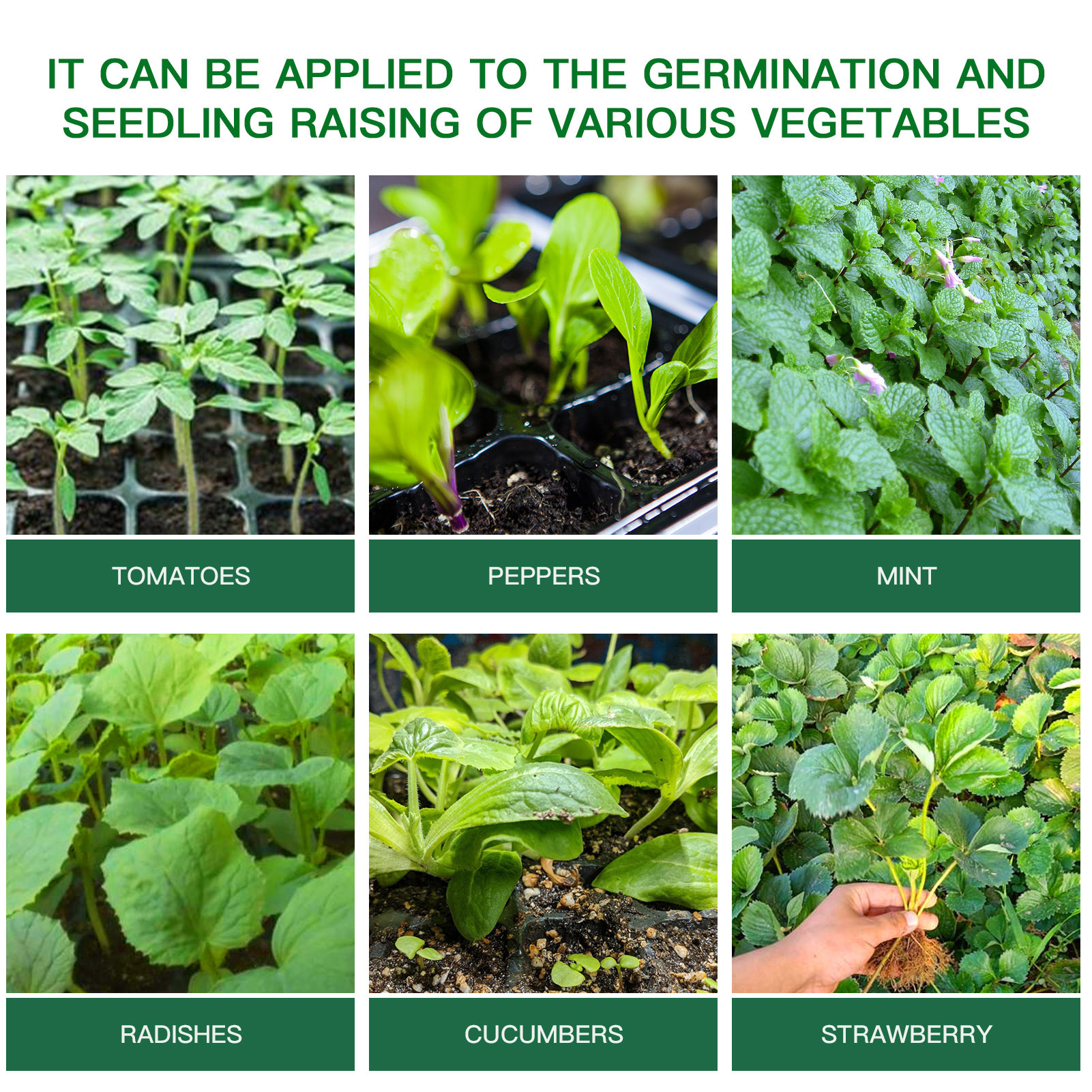 Germination Box Seed Starter Kit 10PCS Plastic 12 Cells Nursery Pots With Dome And Base Gardening Supplies Seedling Trays