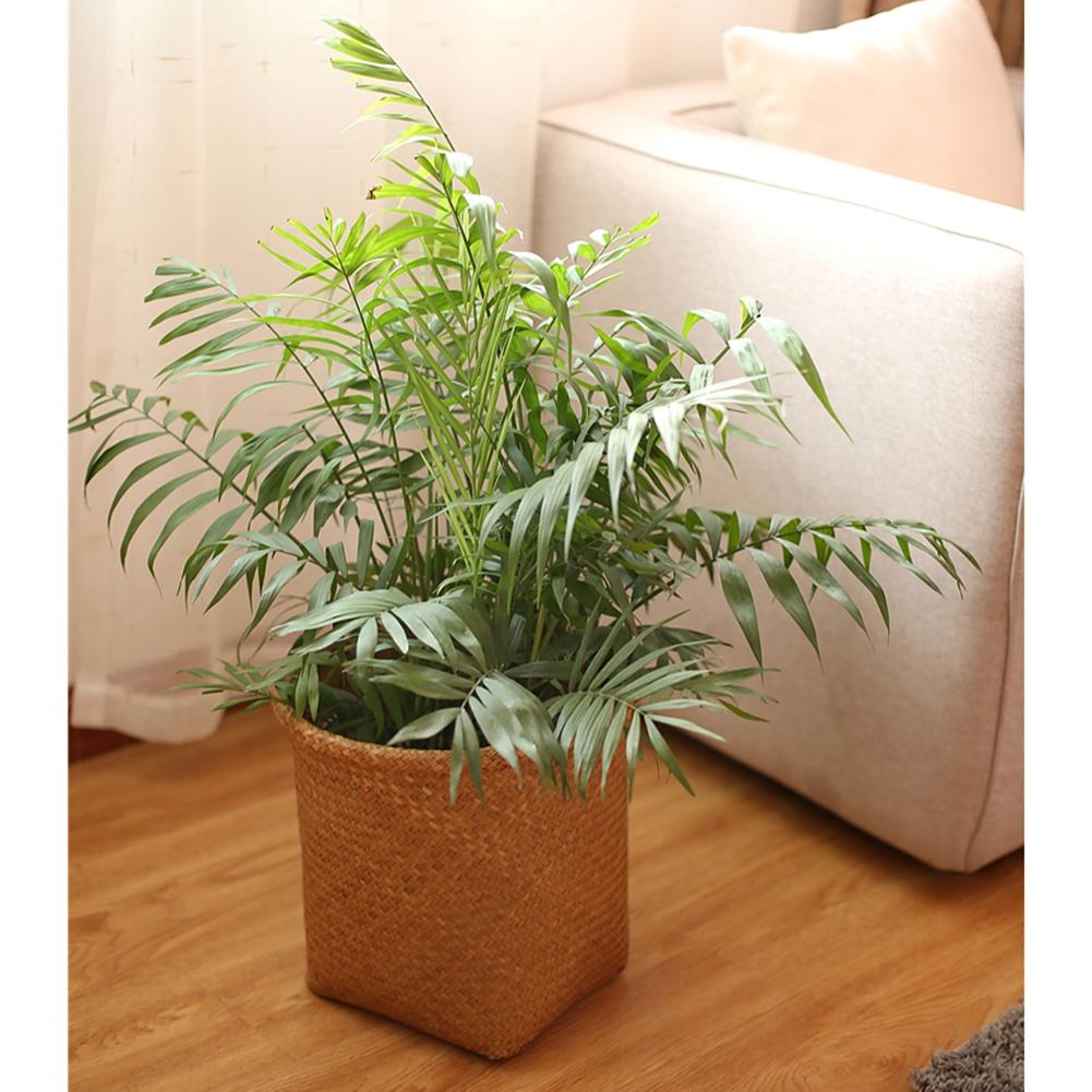Nordic Stijl Hand geweven Opslag Mand Bloempot Fruit Rotan Mand Plant Pot Container Inklapbare Zeegras Wasmand