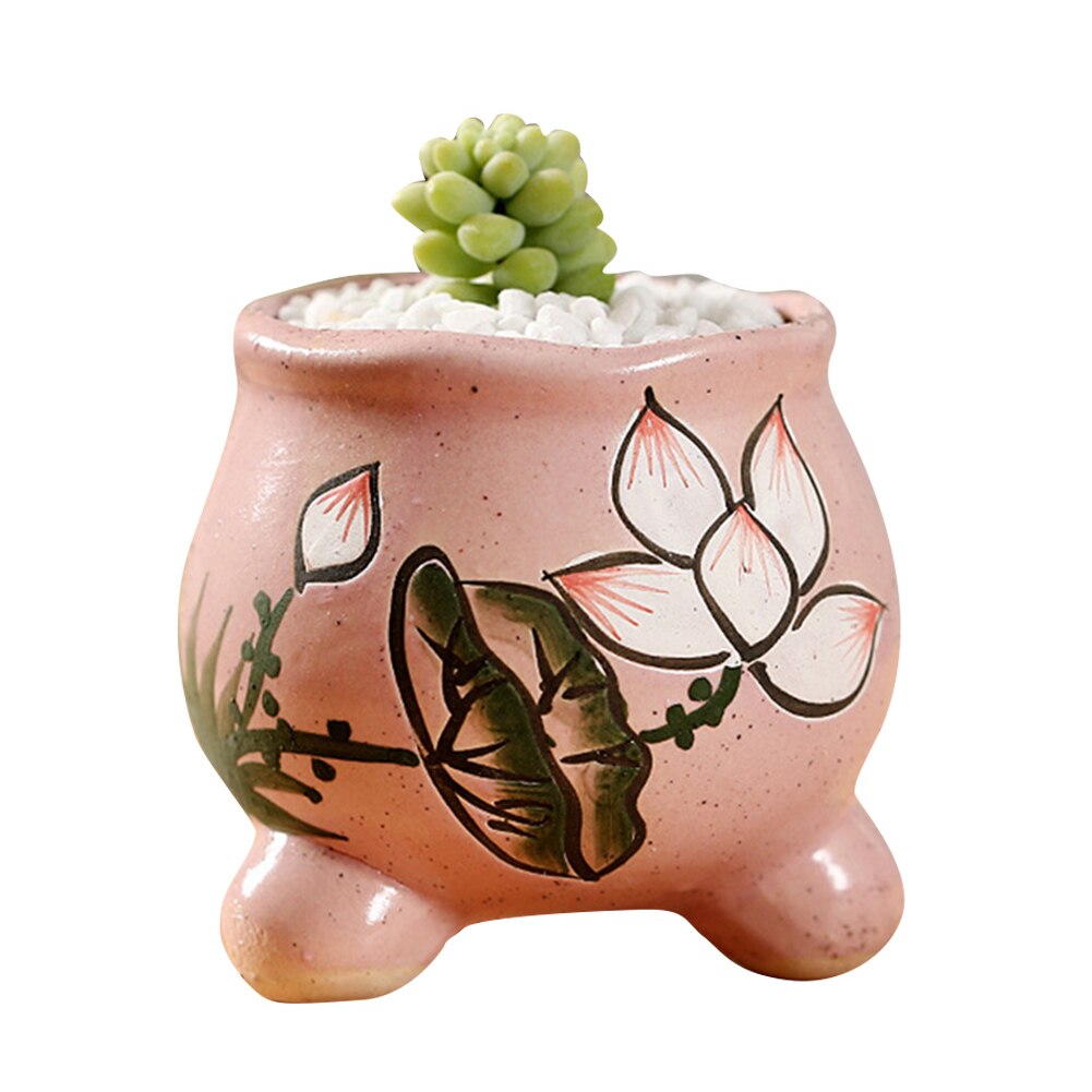 Planta de macetas suculentas económicas macetas de jardín macetas de cerámica planta de macetas er jardín al aire libre decoración del hogar ds99: N16-pink