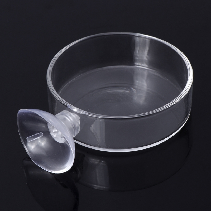 Plato alimentador de cristal transparente de gambas para comer, bandeja de comida, contenedor redondo, cuencos de alimentación para pecera de acuario