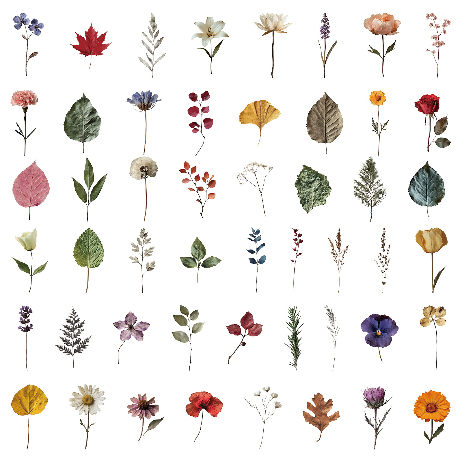 50Pcs Cute Plant Stickers Plant Specimen Decals For Phone Laptop Suitcase Notebook Skateboard Waterproof Sticker