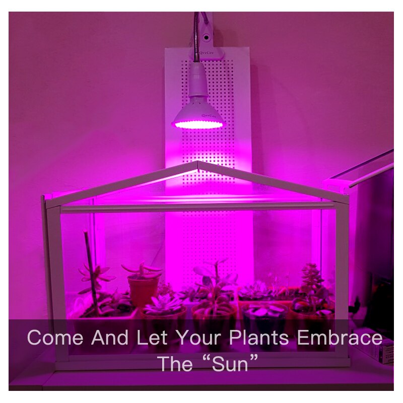 Phytolamp para plantas e27 led cresce a luz phytolamp espectro completo phyto lâmpada para plantas horticultura para semeadura flores