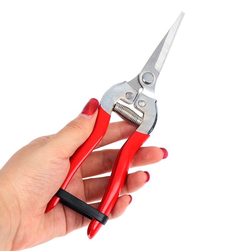 High Carbon Steel blade pruning cut Shrub tool Plant horticulture leaf trimmer Shear Scissor pruner Garden fruit flower Orchard