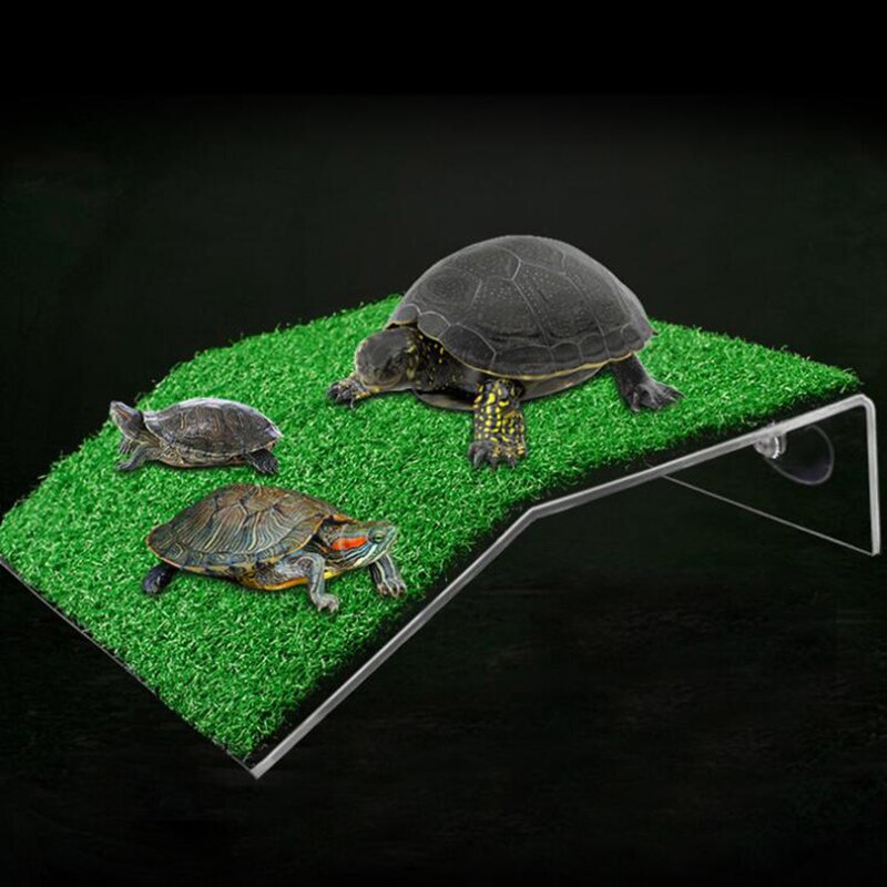 Schildpad Koesteren Drogen Platform Zuignap Schildpad Klimmen Voor Fish Tank