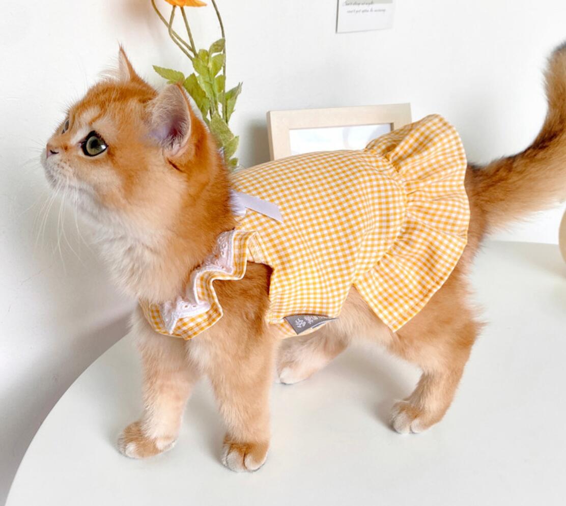 T-shirt respirant pour chats, vêtements mignons pour animaux de compagnie, Costume à la pour chien et chat