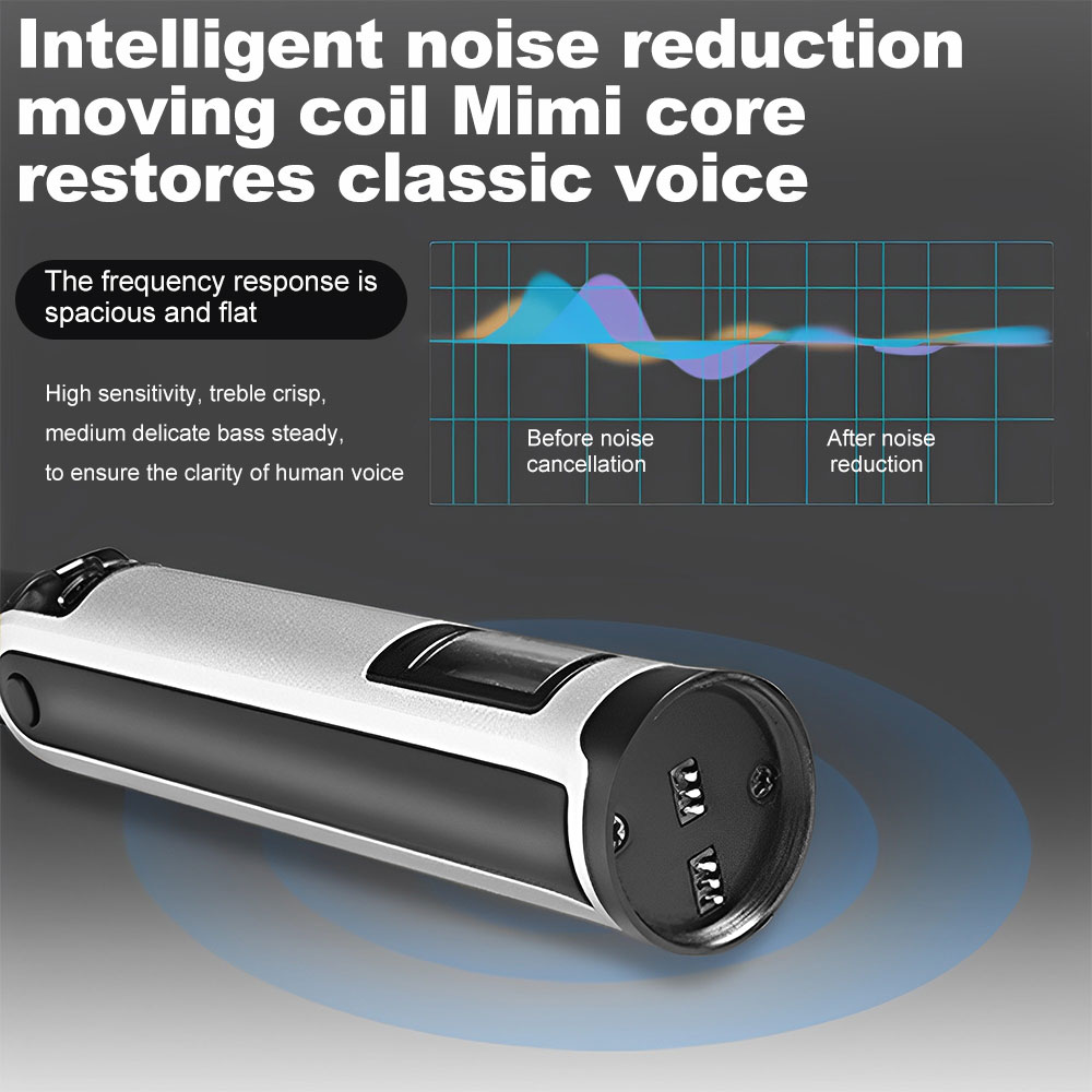 SKM9000 Wireless Microphone Universal One Drag Two Handheld Microphone Home Sound Card Stereo Outdoor Karaoke Stage