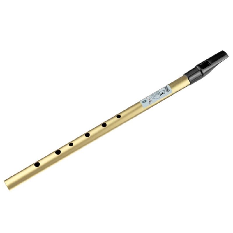 YN-NAOMI Traditional Irish Tin Whistle Penny Whistle Key of D Irish Whistle Six-Holed Woodwind Instrument: gold