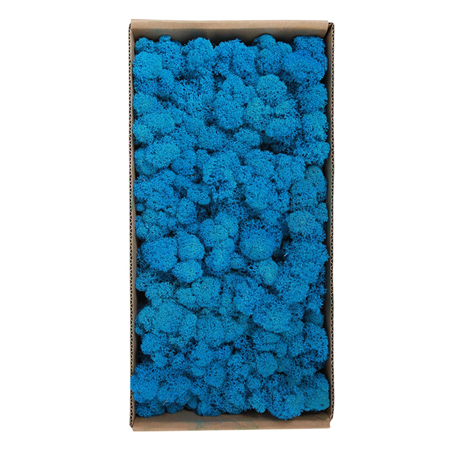 Preserved Moss Wall Decor Real Preserved Moss No Maintenance Required Naturally Preserved Moss Home Wall Party Festivals Crafts