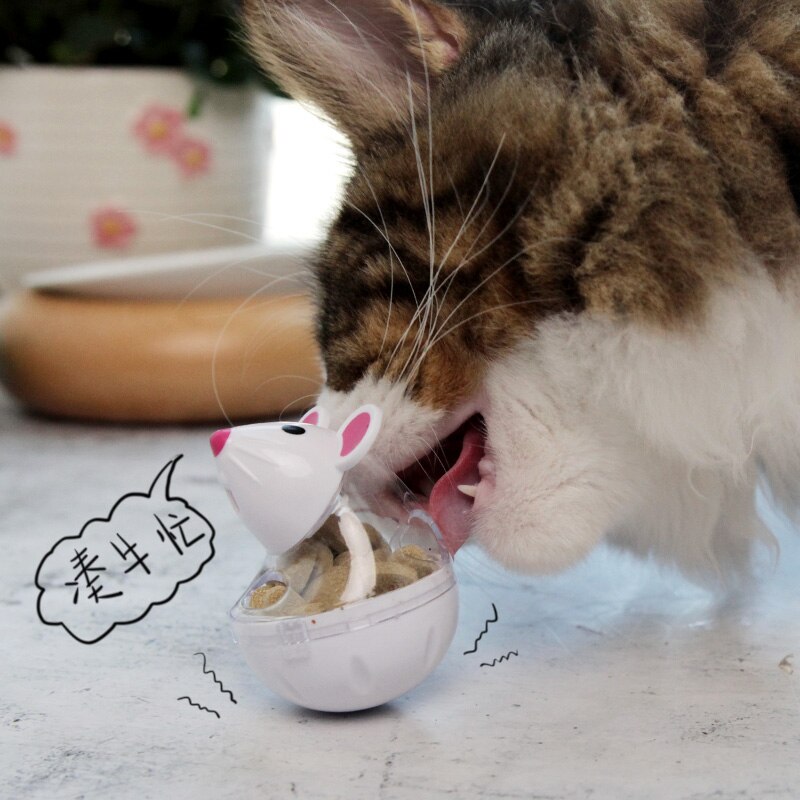 MPK – jouet d&#39;exercice pour chat, pour les chats affamés et gras, mangeoire pour contrôler la consommation de nourriture tout en encourageant l&#39;exercice