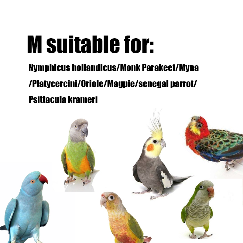 Fågelkläder papegojakläder cockatiels munk parakit pion papegoja undulat liten medelstor husdjur fågelblöjor papegoja flygdräkt