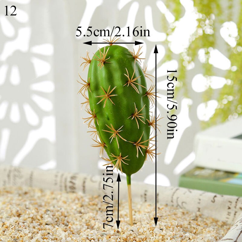Graines de graines pour Aquarium, plante aquatique, graines faciles, Aquarium, aménagement paysager: 12