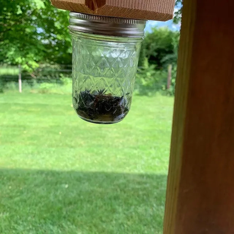 Piège à abeilles de charpentier pour l'extérieur, 1 pièce, piège à abeilles de charpentier suspendu naturel de Style Pentroof, pièges à insectes avec coffre-fort amovible