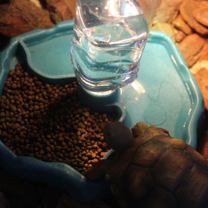 Comedero de reptiles de 2 en 1 plato automático de alimentación de agua plato dispensador de tortuga lagarto Oct-24B
