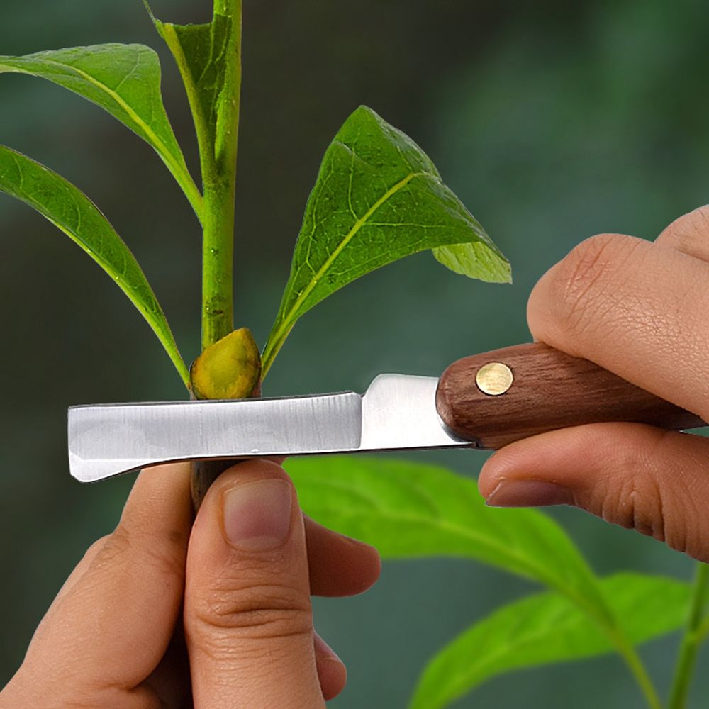 Foldable Ergonomic Pruning Grafting Branch Tree Garden Supplies Pruning Knifes Garden Hand Tools Grafting Cutter