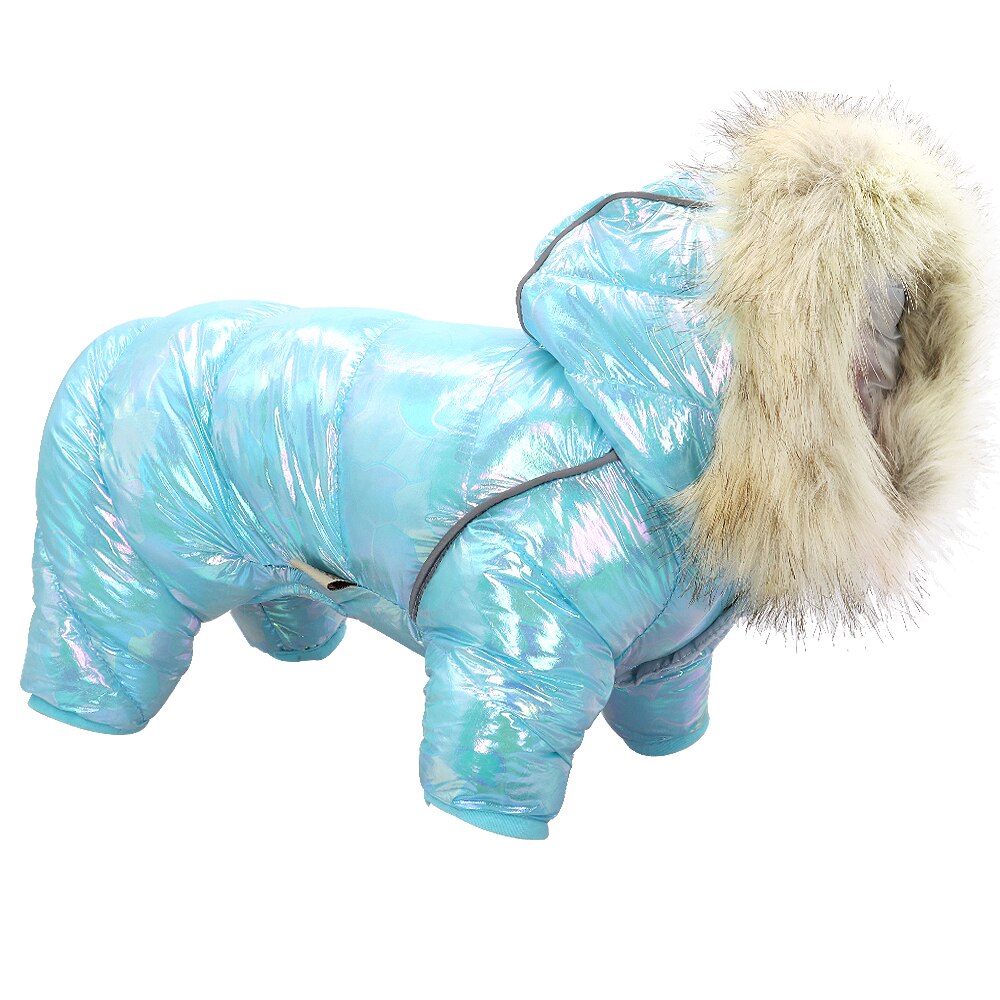 Dikke warme kleding voor honden, reflecterende hondenkleding, winterjas, warme kleding voor kleine en middelgrote honden, chihuahua, bulldog: Blauw / 10