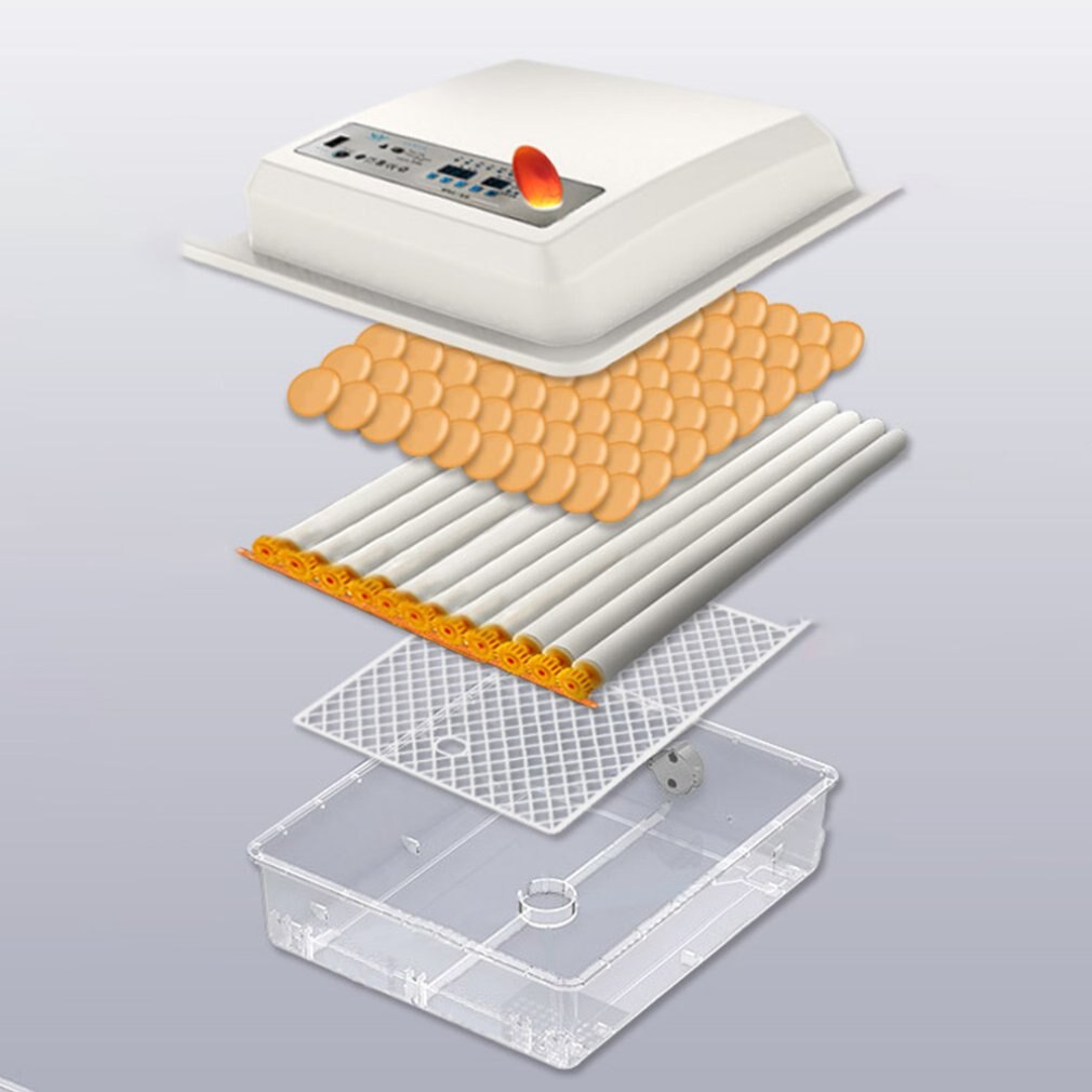 220V Egg Incubator Brooder Bird Incubators Hatchers Chickens Poultry Hatcher Farm Automatic Hatchery Incubation Tools