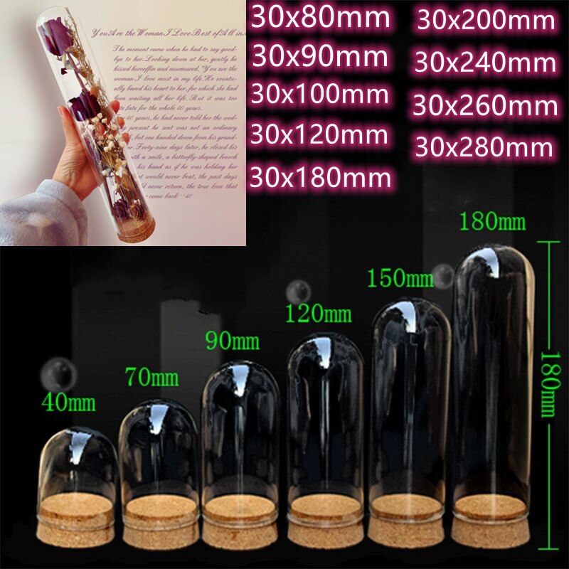 5pcs Clear glass display dome with wood base Display Stand dry flower plant Box for bedroom living room office decor Display