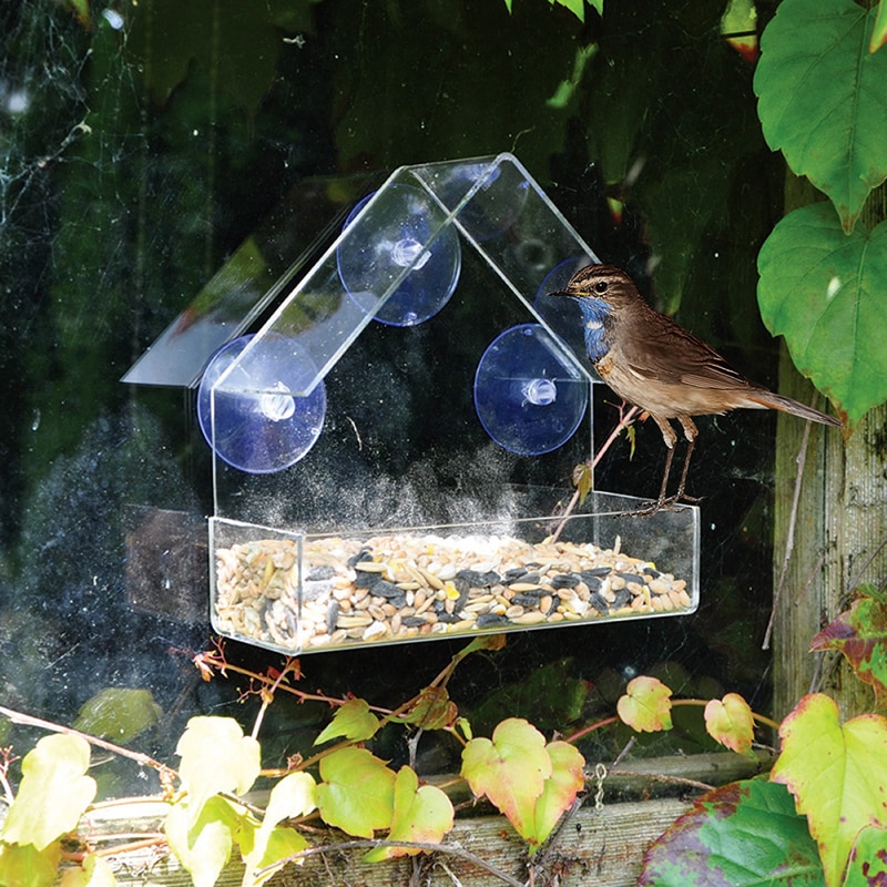 Klart glas vindue visning fuglefoder hotelbord frø jordnødde hængende sugning alimentador adsorption hustype fuglefoder