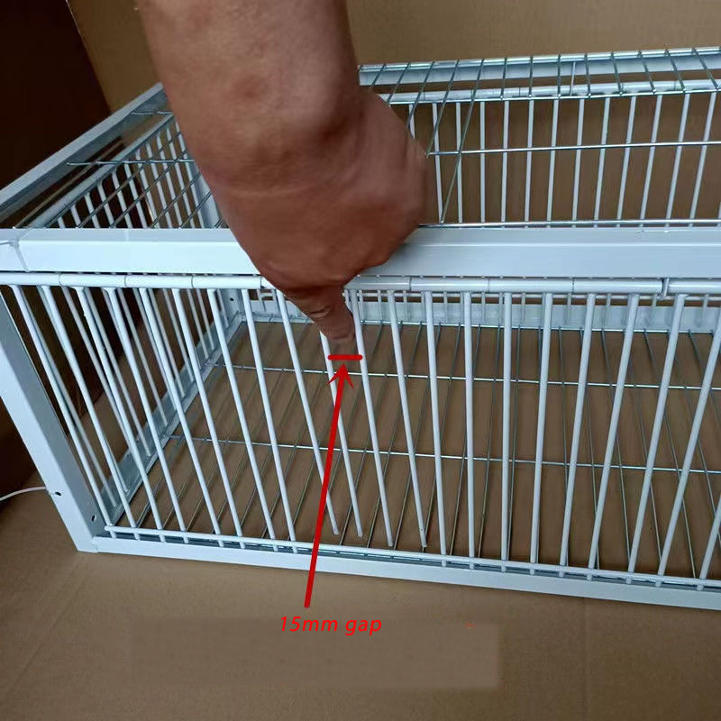 Piège à oiseaux pour pigeons galvanisé pliable au milieu, Cage pour pigeons furaux, voie humaine avec l'entrée unidirectionnelle, piégeage des pigeons, des colombes dans les cages