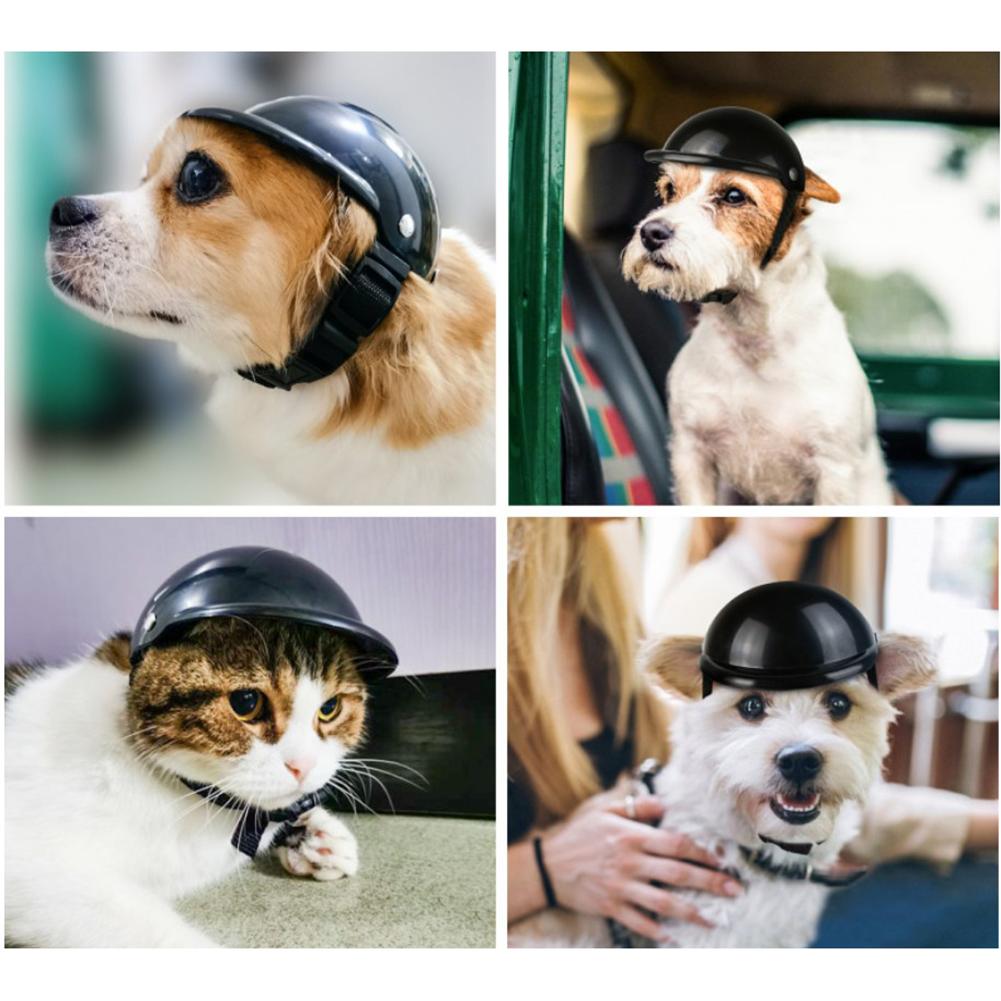 kæledyr hjelm hund hjelm kæledyr cykel hjelm motorcykel bil sikkerhed cap eller katte hunde udendørs #cw – Grandado
